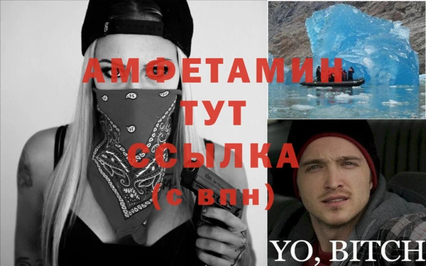 гидра Богородицк