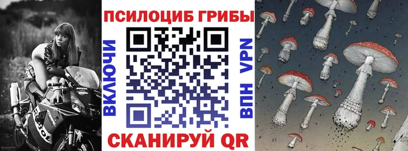 Галлюциногенные грибы GOLDEN TEACHER  купить наркоту  Хвалынск 